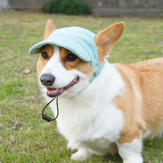 Corduroy Sun Guard Pet Hat